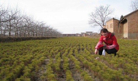 大學生村官：將美麗鄉村串成美麗中國