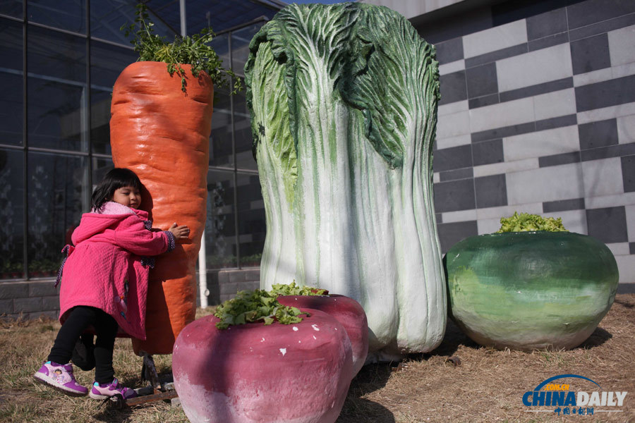 首屆“北京農業嘉年華”活動舉行