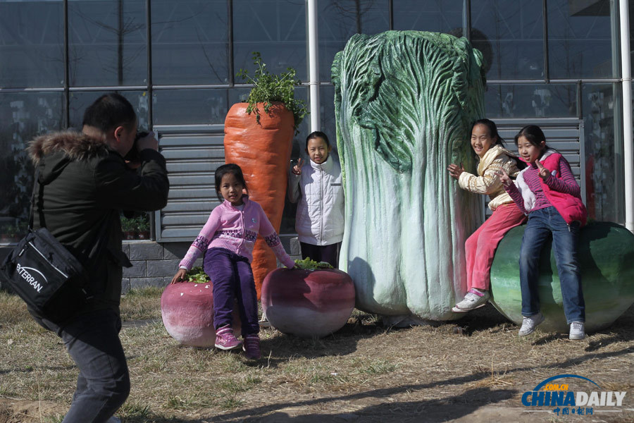 首屆“北京農業嘉年華”活動舉行