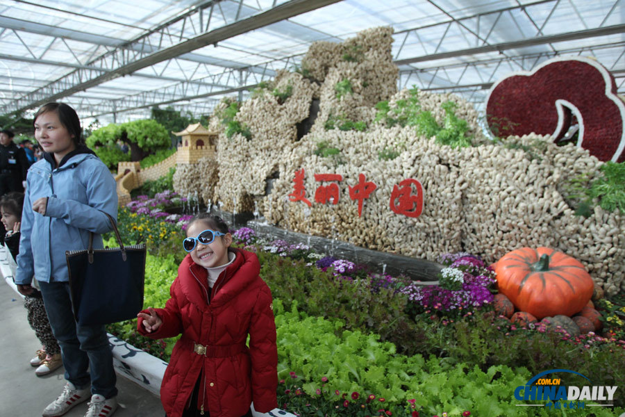 首屆“北京農(nóng)業(yè)嘉年華”活動(dòng)舉行