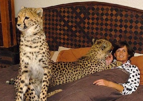 揭秘易裝癖男士的瘋狂夜生活 盤點(diǎn)令人震驚的怪癖