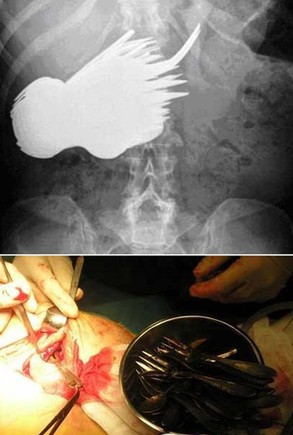 揭秘易裝癖男士的瘋狂夜生活 盤點令人震驚的怪癖