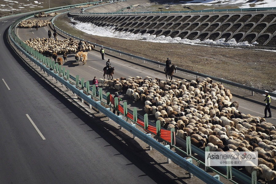 中國日報一周圖片精選:3月23日-3月29日