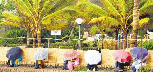 這是只有印度才能見到的奇景