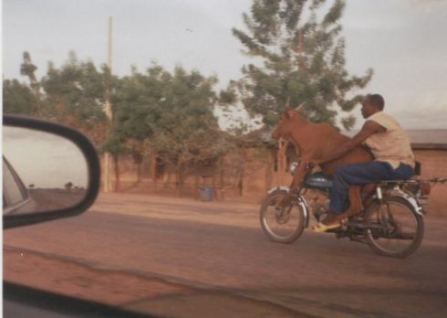 這是只有印度才能見到的奇景
