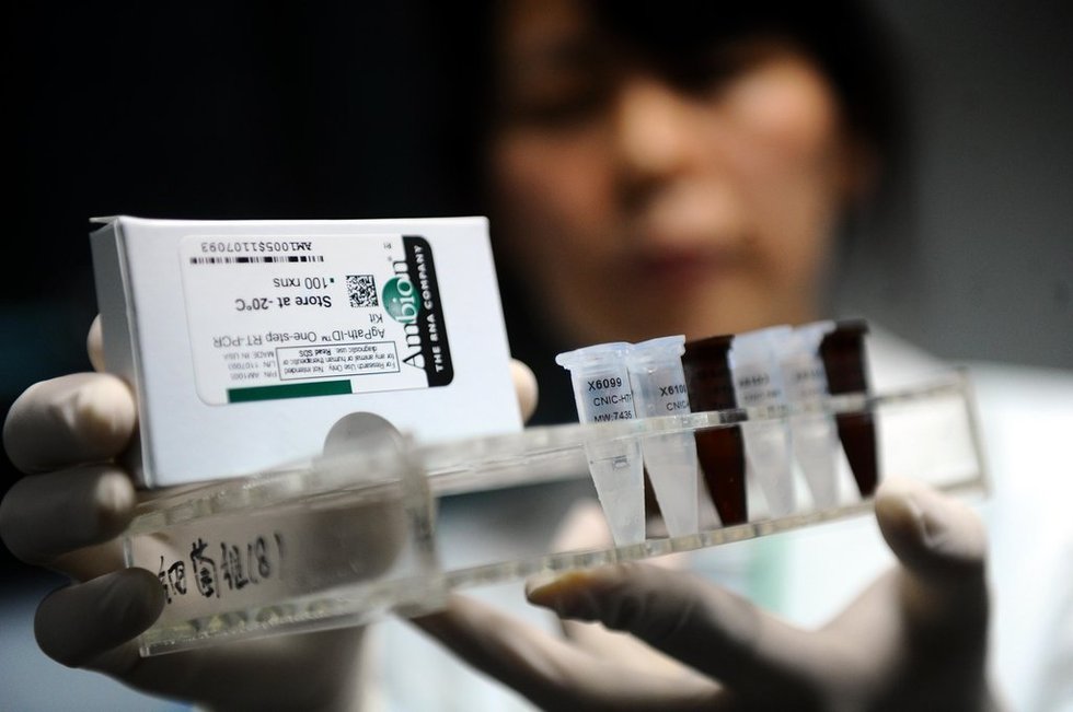 組圖：中國多地備戰H7N9禽流感