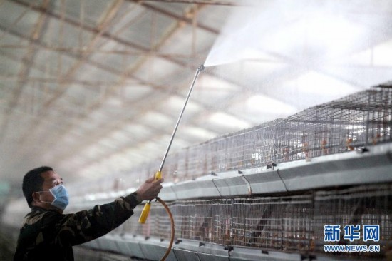 病前一周接觸過禽類者為感染H7N9高危人群