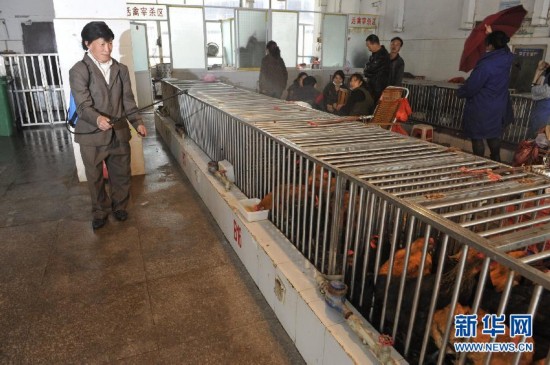 病前一周接觸過(guò)禽類者為感染H7N9高危人群