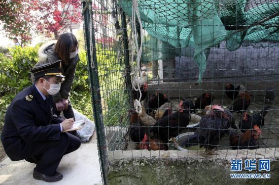 病前一周接觸過禽類者為感染H7N9高危人群