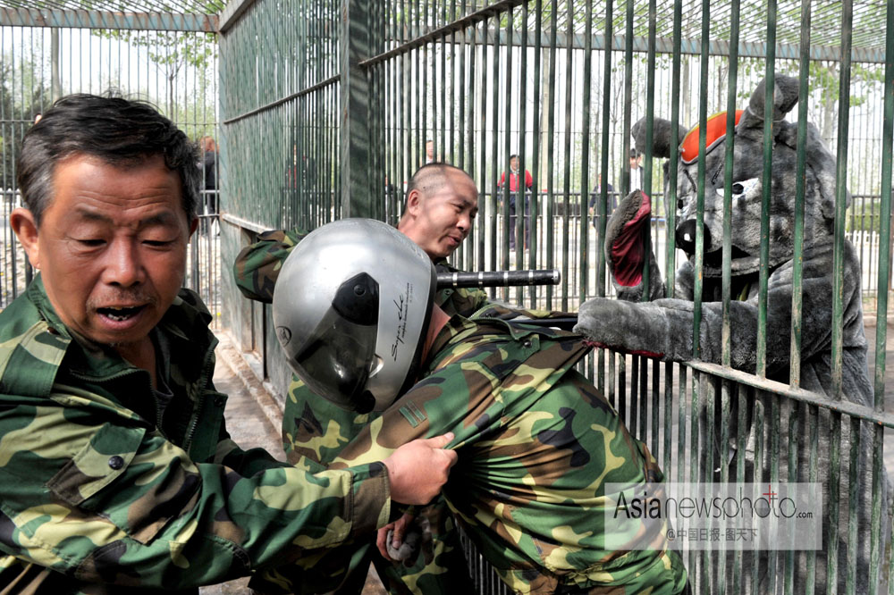中國(guó)日?qǐng)?bào)一周圖片精選：4月15日—4月19日