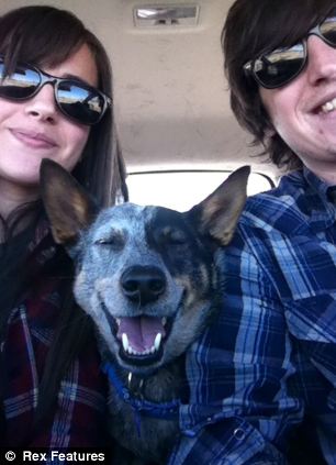 快到鼻子上來!超萌狗狗身懷絕技 鼻子啥都能頂