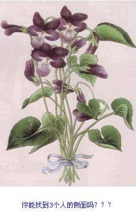 瘋狂的圖片！ 測測你的心理和眼力