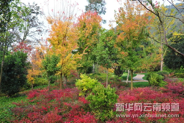 神奇九鄉（組圖）