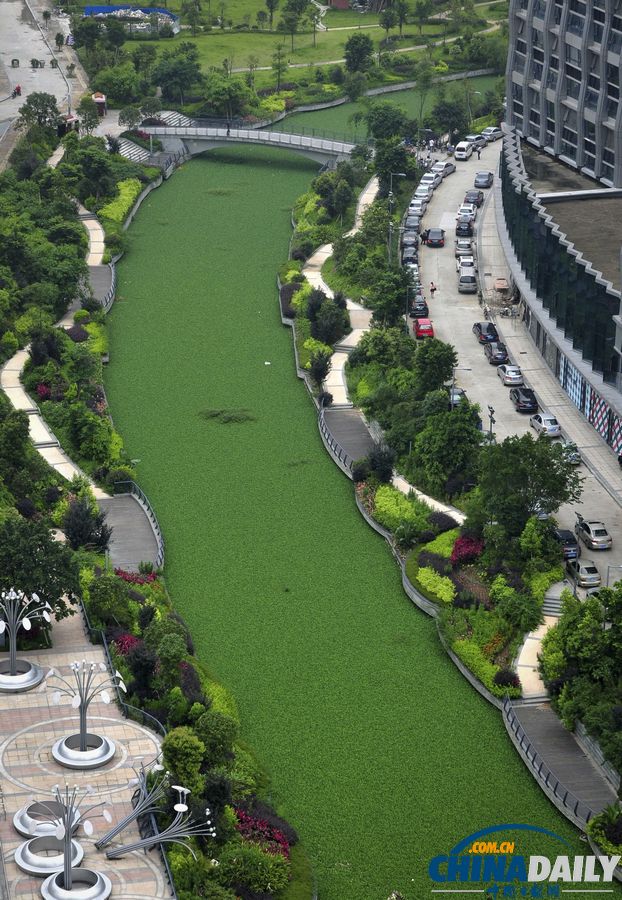 中國日報一周圖片精選：6月1日-7日