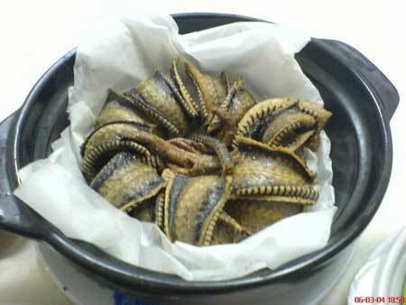 岳陽日均吃蛇2千斤遭圍觀 揭秘非法經營窩點（組圖）