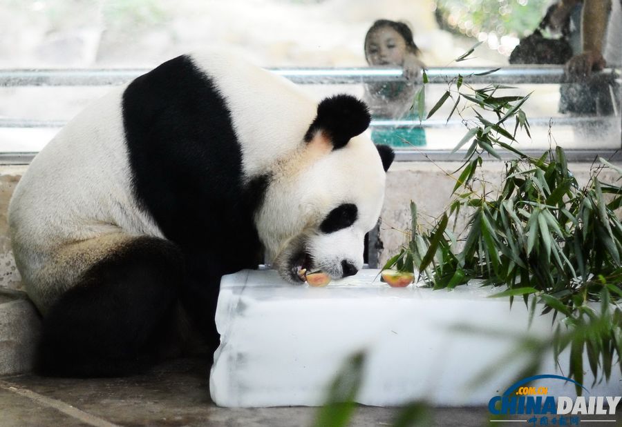 中國日?qǐng)?bào)一周圖片精選：6月15日—21日