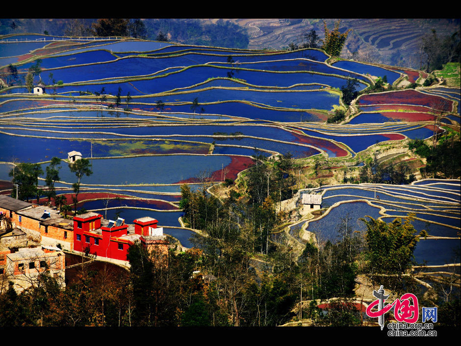 中國哈尼梯田成功列入世界遺產名錄
