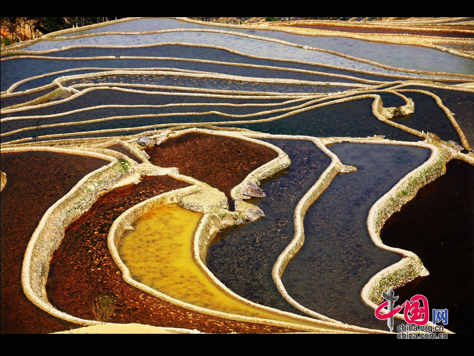 中國哈尼梯田成功列入世界遺產名錄