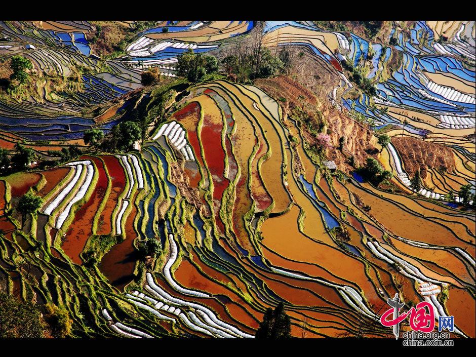 中國(guó)哈尼梯田成功列入世界遺產(chǎn)名錄