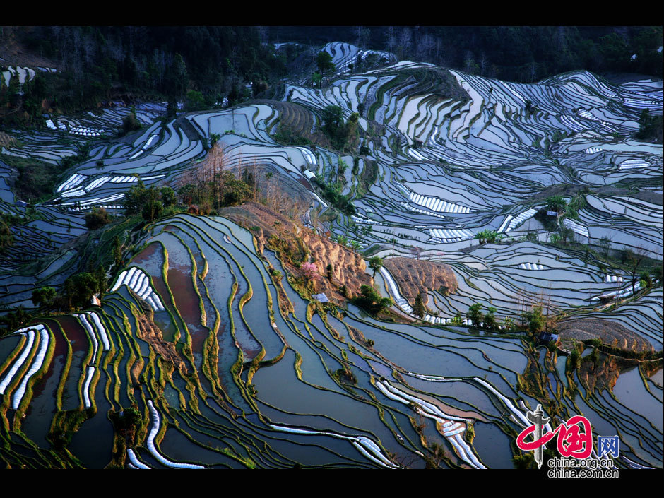 中國哈尼梯田成功列入世界遺產名錄