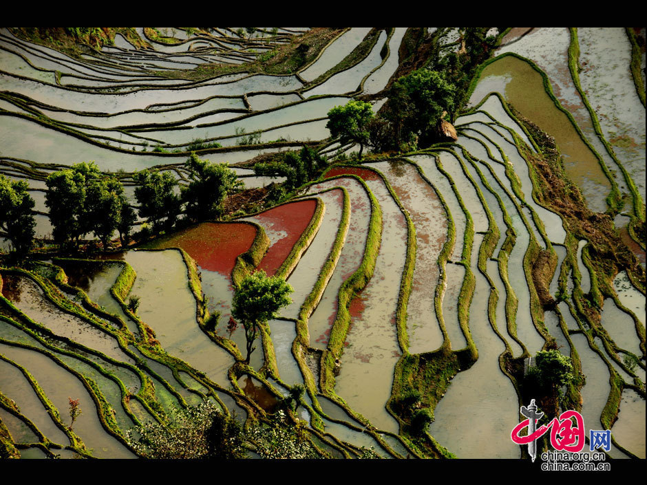 中國哈尼梯田成功列入世界遺產(chǎn)名錄