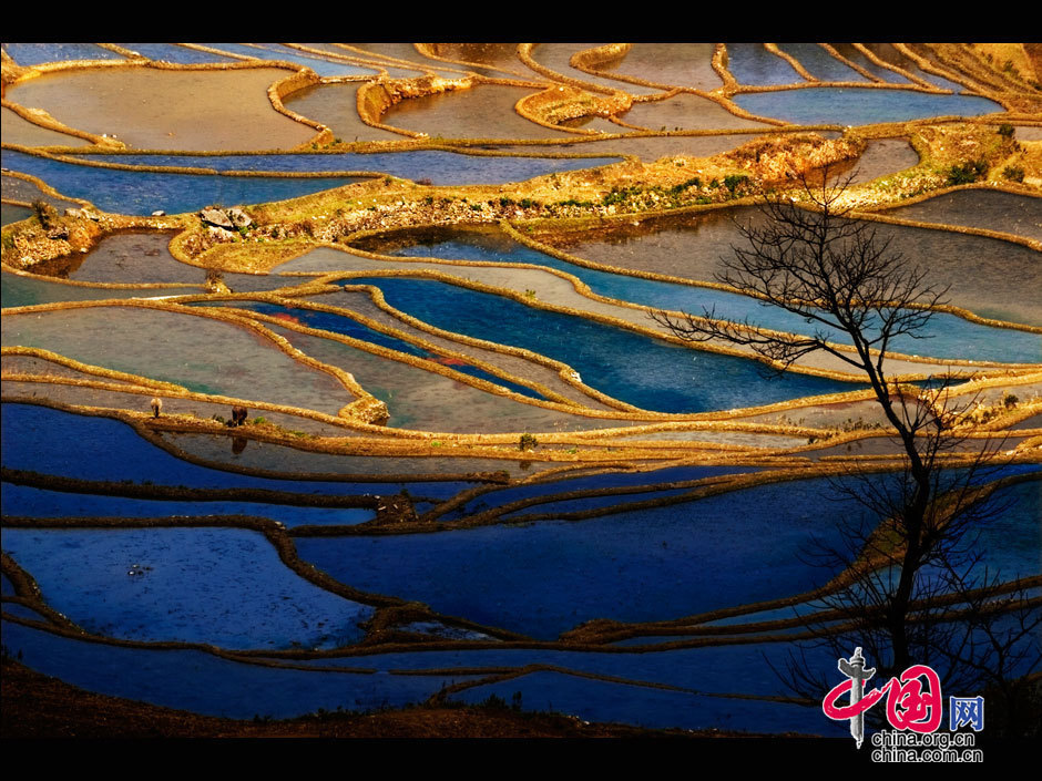 中國哈尼梯田成功列入世界遺產名錄