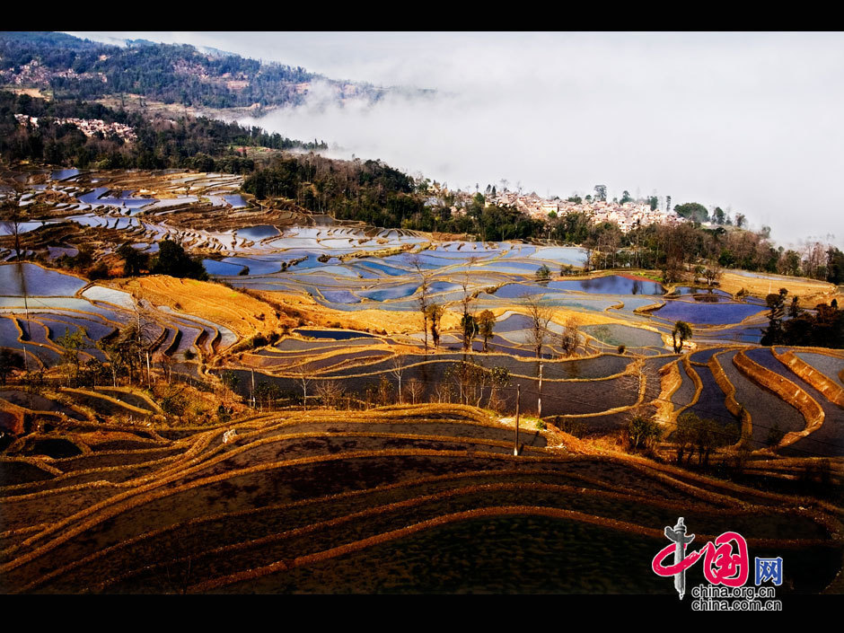 中國哈尼梯田成功列入世界遺產名錄