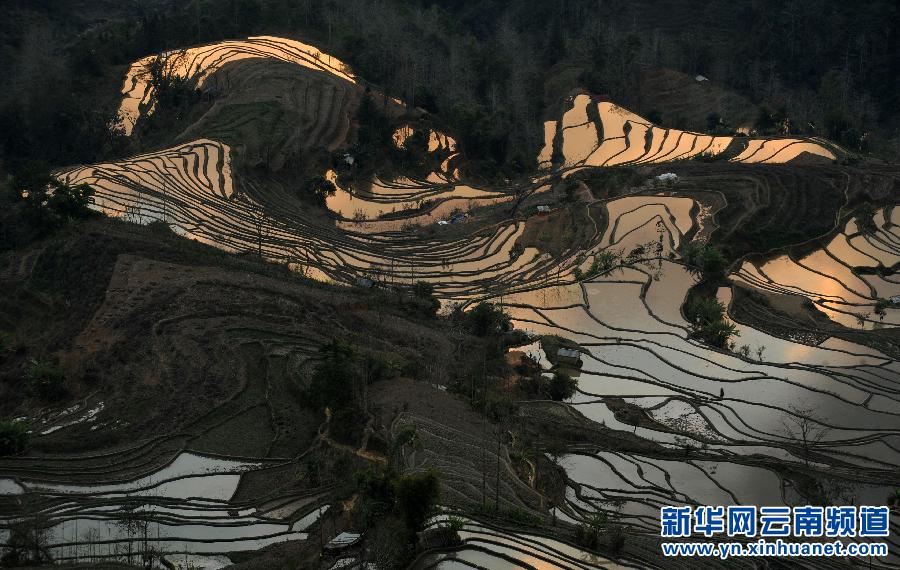 中國哈尼梯田成功列入世界遺產名錄