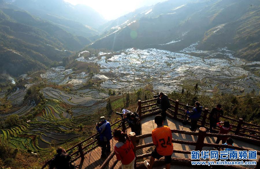 中國哈尼梯田成功列入世界遺產名錄