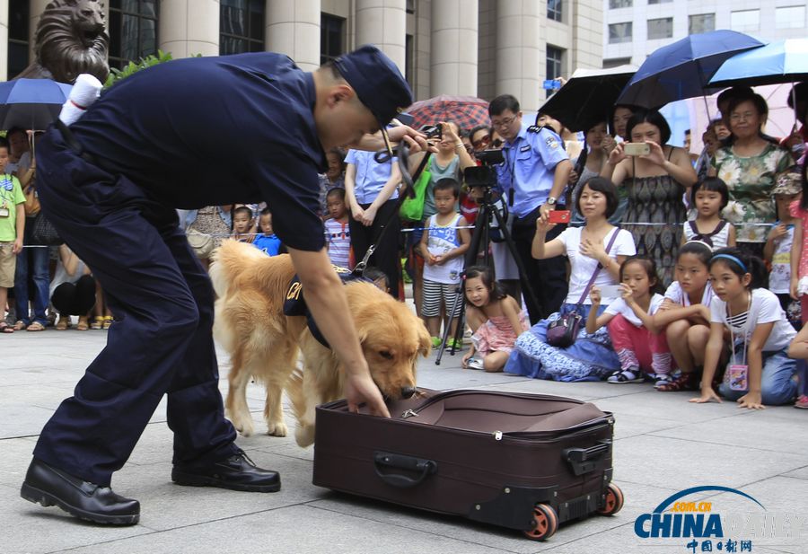 國際禁毒日前夕：與明星緝毒犬親密接觸