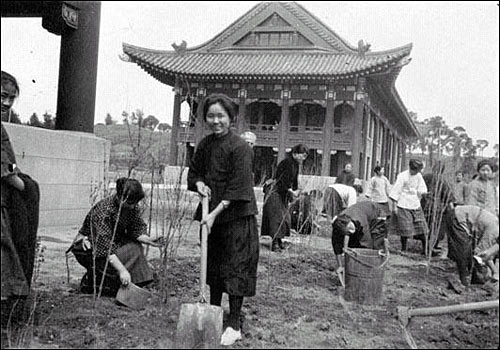 民國時期金陵美女的大學舊照（組圖）