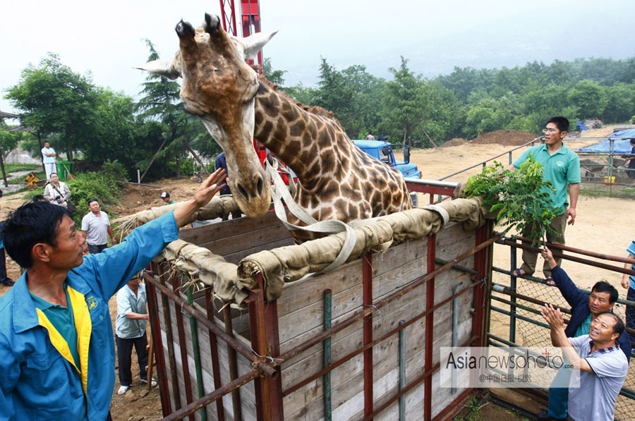 中國日?qǐng)?bào)一周圖片精選（6月22日—28日）：韓國首位女總統(tǒng)訪華