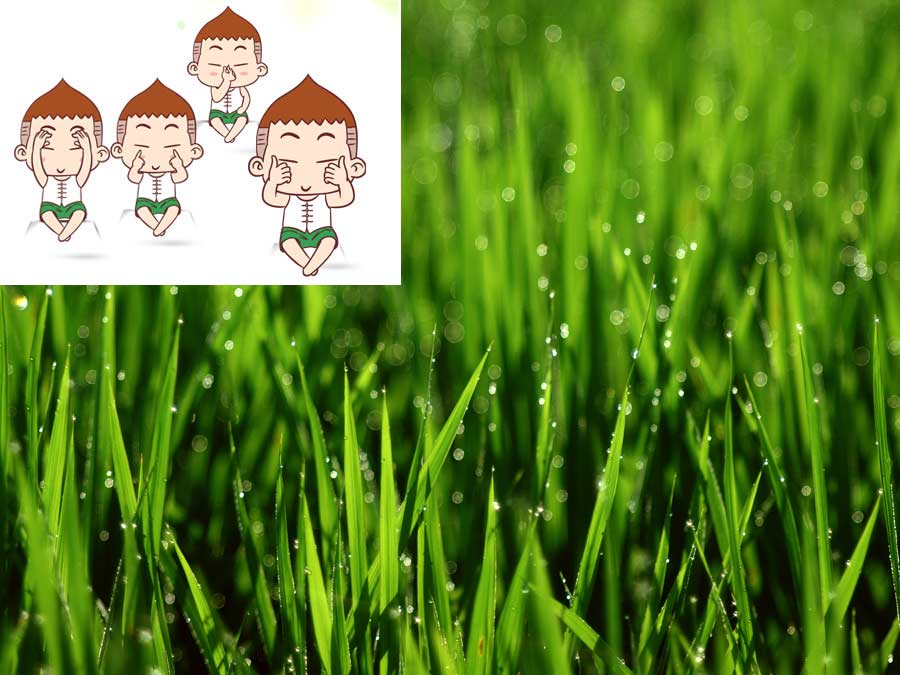 “做個(gè)健康的白領(lǐng)麗人”：職業(yè)女性辦公室生活小貼士