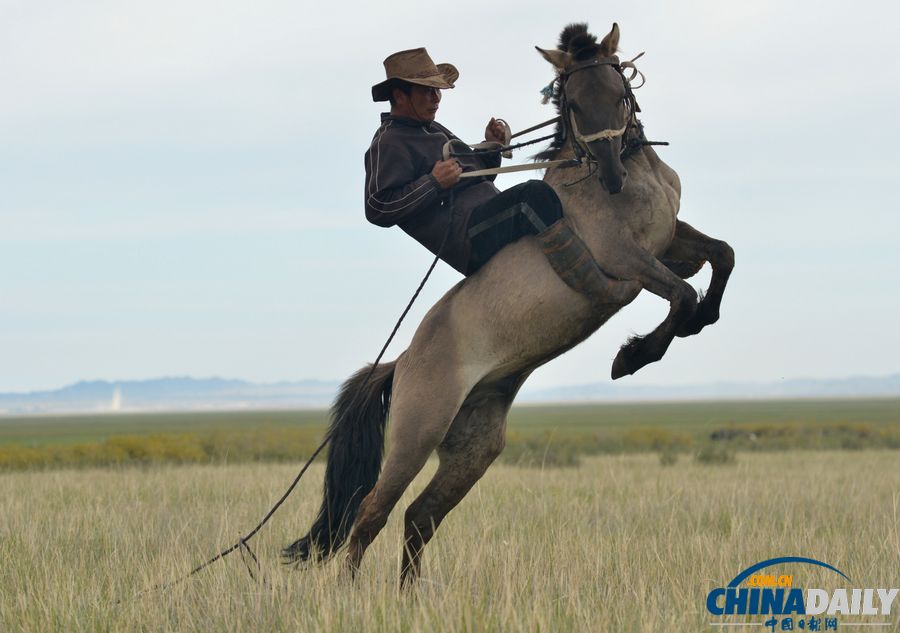 新疆巴里坤：草原牧羊人家盡顯游牧民俗
