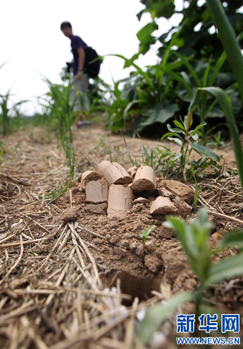 洛陽孟津疑似李煜墓引關(guān)注 專家稱證據(jù)不足無法確認(rèn)