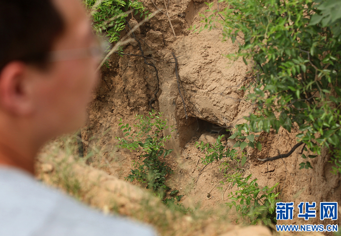 洛陽(yáng)孟津疑似李煜墓引關(guān)注 專(zhuān)家稱(chēng)證據(jù)不足無(wú)法確認(rèn)