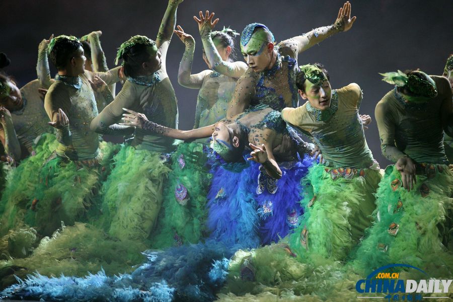 楊麗萍收官之作《孔雀》南京“開屏”