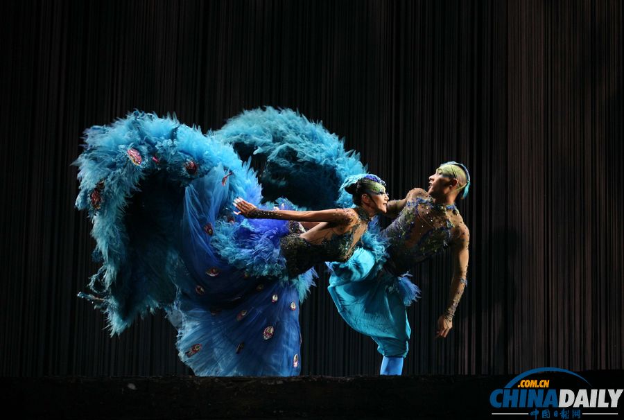 楊麗萍收官之作《孔雀》南京“開(kāi)屏”