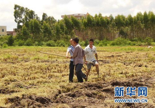 廣東高州：外省人員打砸派出所 強(qiáng)行帶走兩警察