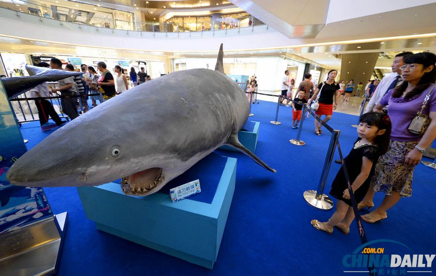 中國日?qǐng)?bào)一周圖片精選（7月6日—12日）：強(qiáng)臺(tái)風(fēng)“蘇力”來襲