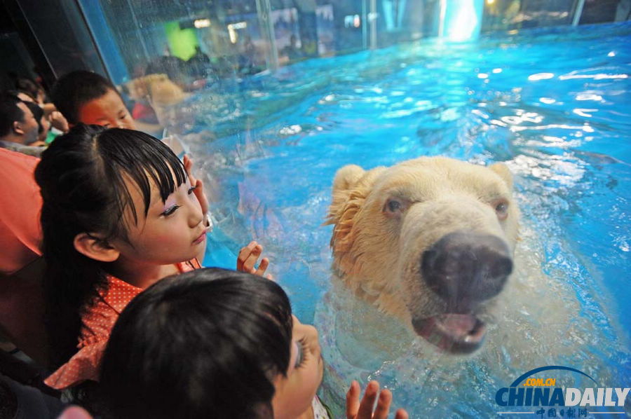 武漢：北極熊賣(mài)萌惹人愛(ài)