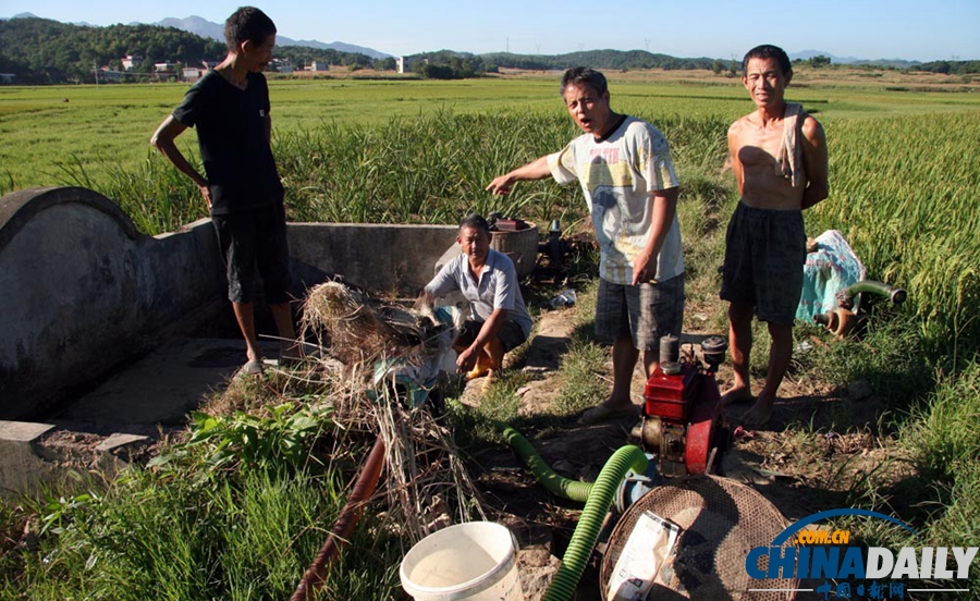 高清：湖南邵陽旱情持續(xù)發(fā)展 4萬人出現(xiàn)飲水困難