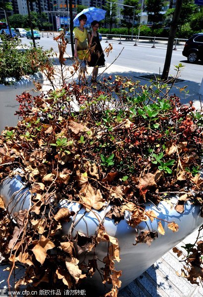 城市表情：高溫下的形色生活