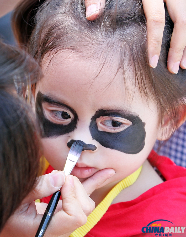 大陸贈臺大熊貓長女滿月征芳名(組圖)