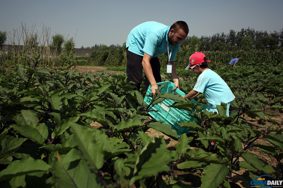 北京：幼兒園小朋友體驗種植蔬菜