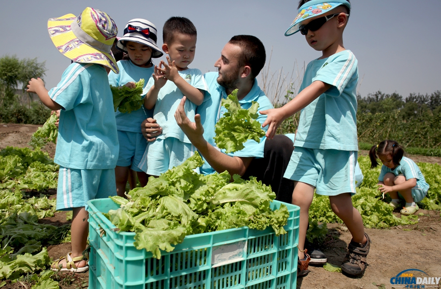 北京：幼兒園小朋友體驗種植蔬菜