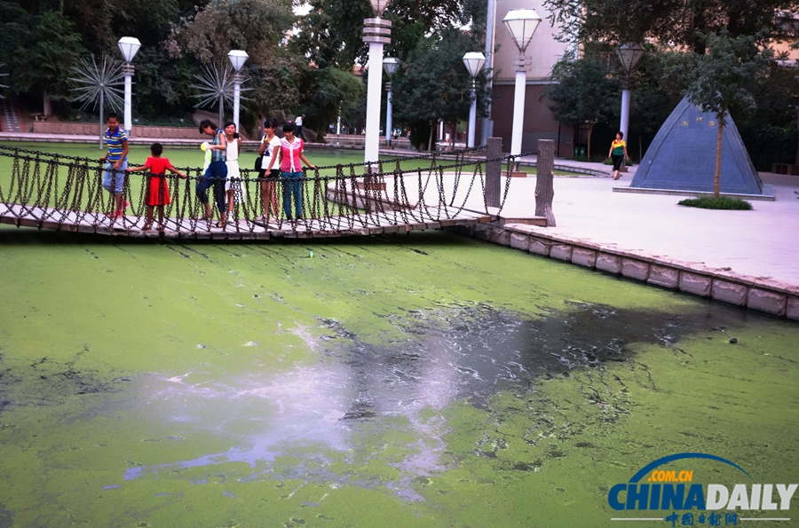 “秋老虎”發威 致吐魯番人工湖成“綠湖”