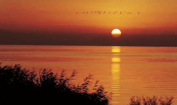 “吐魯番的葡萄熟了”2013中國重點旅游網絡媒體游新疆活動啟動