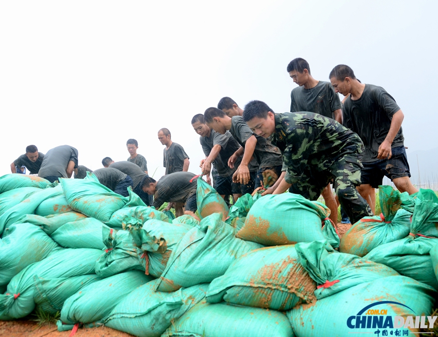 福建寧德：臺風“潭美”過后忙自救