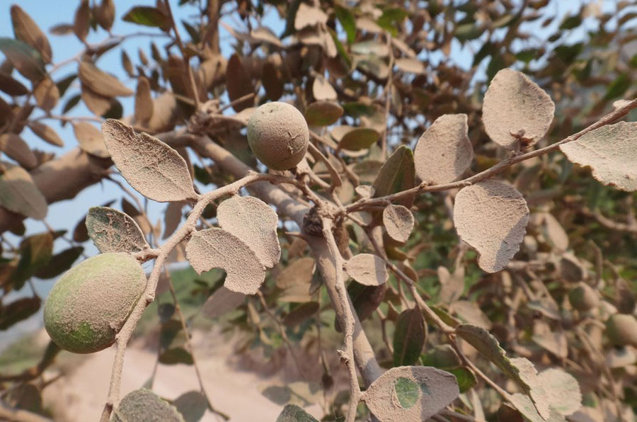晉陜交界非法采沙危及黃河大橋 兩岸山坡滿目瘡痍